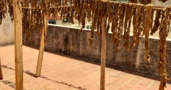 Préparation traditionnelle de l’khliî, viande séchée marocaine