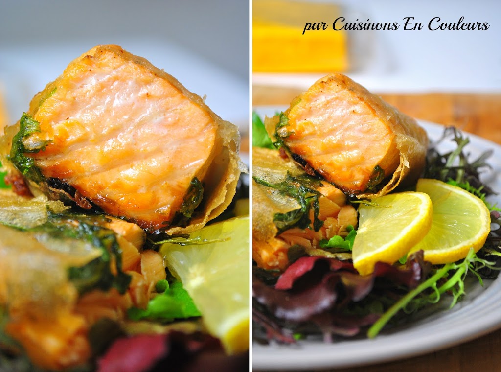 Pavé de saumon en papillote de brick - Cuisinons En Couleurs