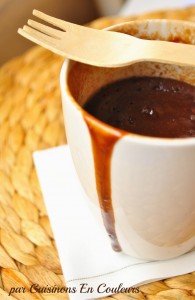 DSC_0602-195x300 - Chocolate Mug Cake, ou la tuerie de minuit en 5 minutes chrono