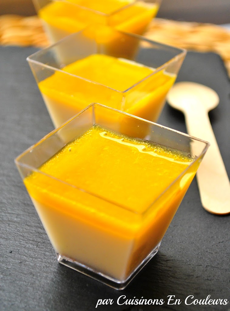 Panna Coco au coulis de mangue et passion - Cuisinons En Couleurs