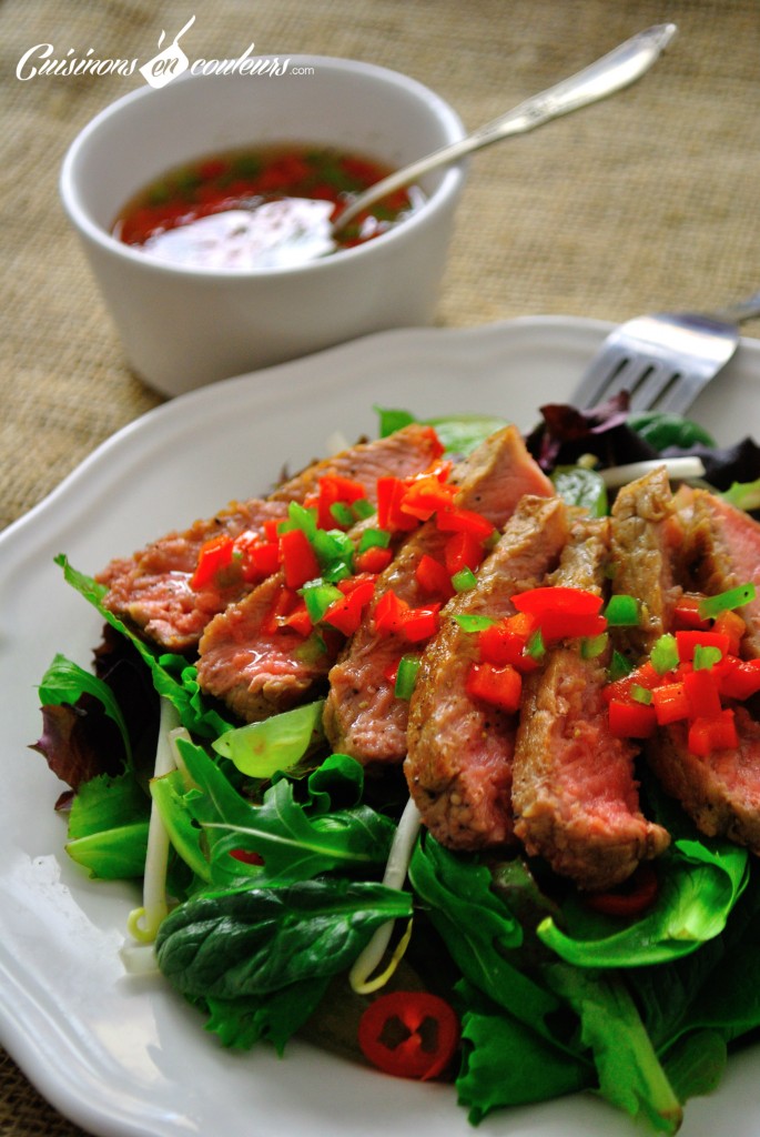 DSC_0282-1-685x1024 - Salade de boeuf à la thaïlandaise