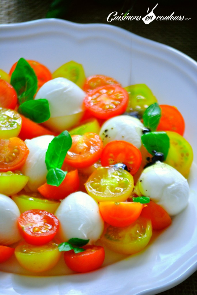 DSC_0451-1-685x1024 - Salade de Tomates et Mozzarella di Bufala Campana