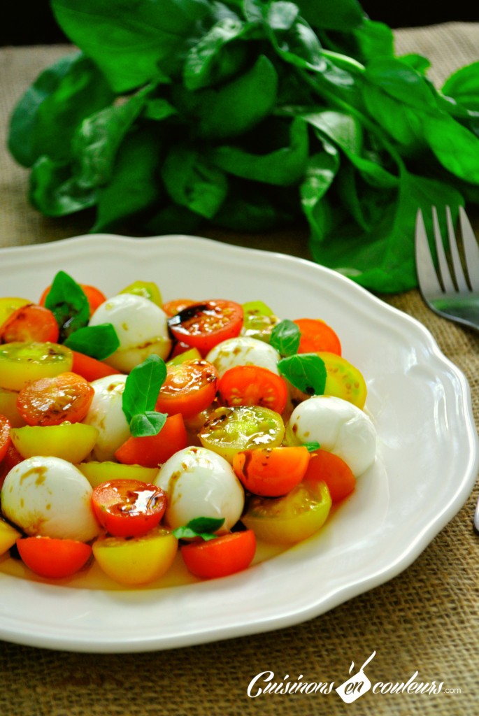 tomate-mozza-1-685x1024 - Salade de Tomates et Mozzarella di Bufala Campana