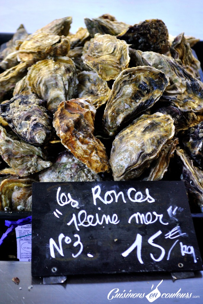 ronces de mer
