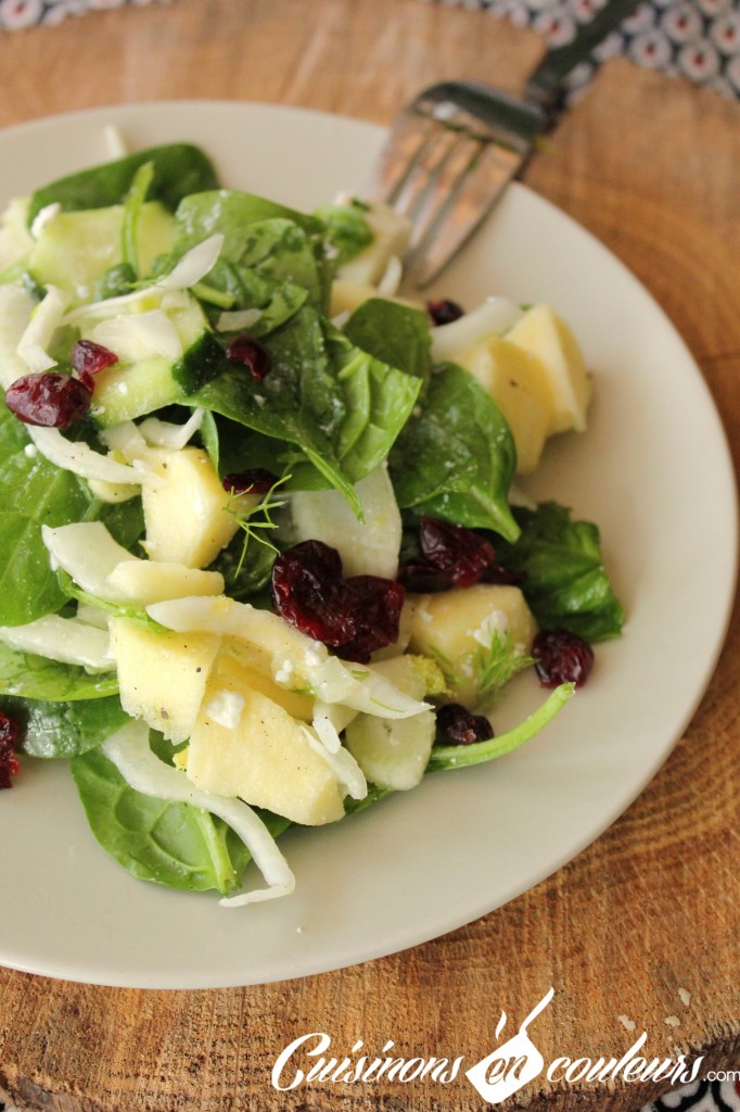 fenouil-en-salade-noel-682x1024 - Salade de fenouil aux concombre, cranberries, pomme et feta