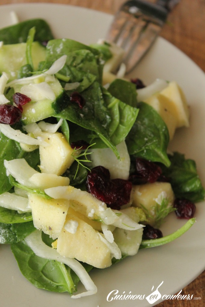 salade-fenouil-noel-682x1024 - Salade de fenouil aux concombre, cranberries, pomme et feta