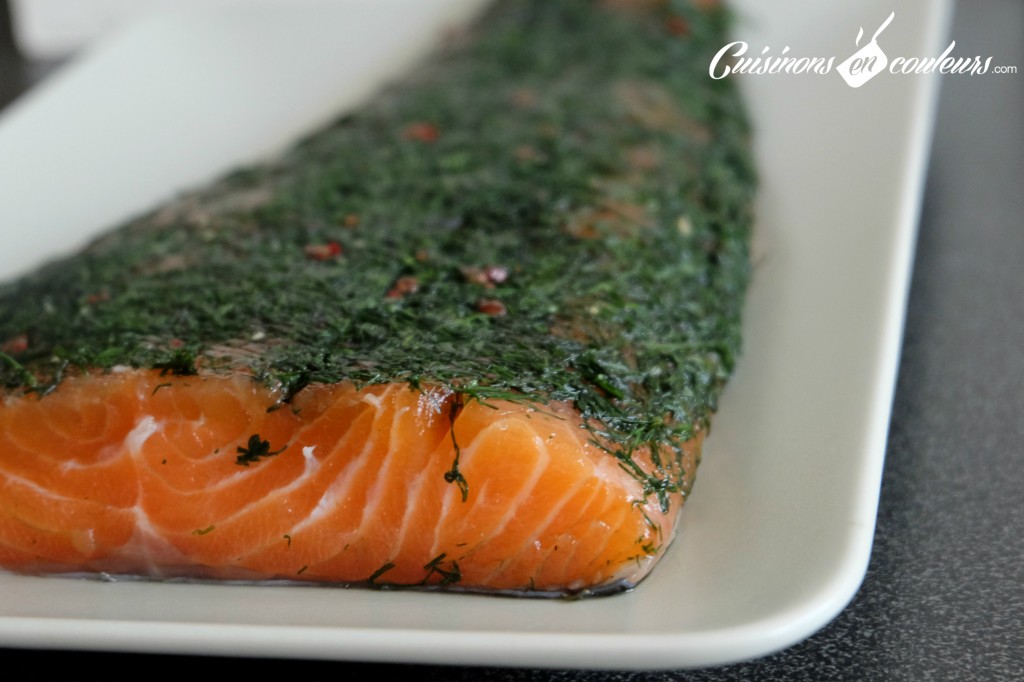Gravlax saumon