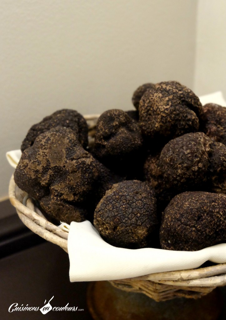 terres de truffes