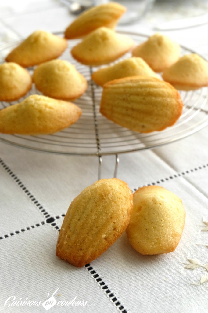 Madeleines - Cuisinons En Couleurs