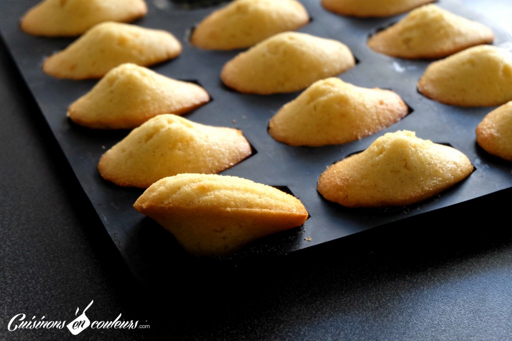 Madeleines a la vanille