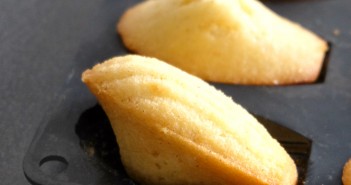 Madeleines-vanille-351x185 - Cuisinons En Couleurs