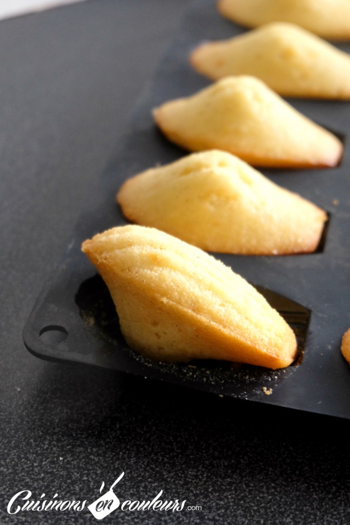Madeleines vanille