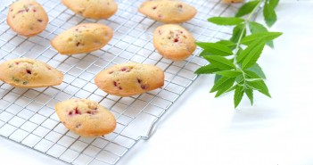 Madeleines-framboises-351x185 - Cuisinons En Couleurs