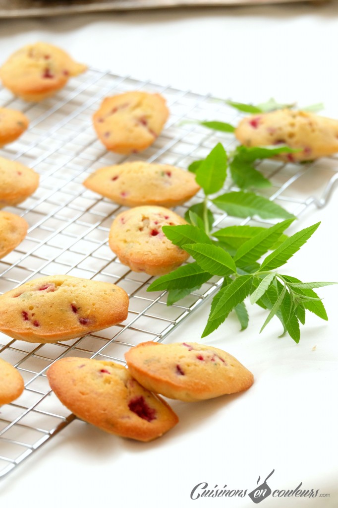 Madeleines framboises et verveine