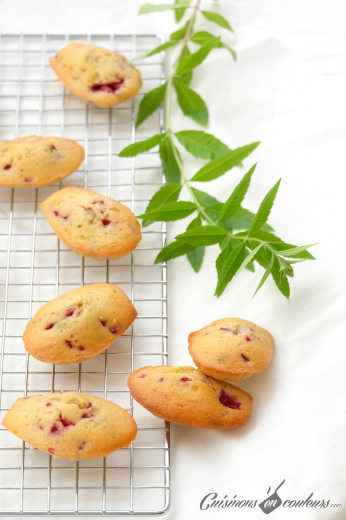 Madeleines-verveine-framboise-682x1024 - Madeleines à la verveine et aux framboises