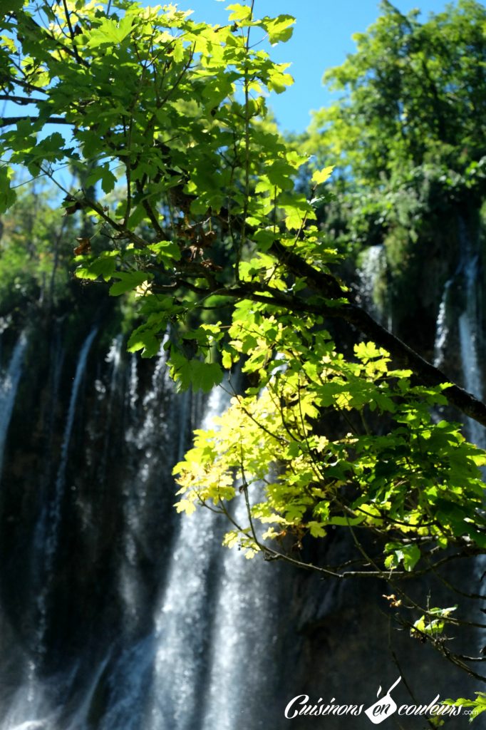 Chutes-a-Plitvices-682x1024 - Deux semaines entre la Croatie, la Bosnie-Herzégovine et le Monténégro