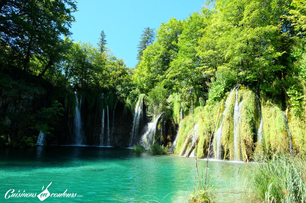 Lacs-de-Plitvice-1024x682 - Deux semaines entre la Croatie, la Bosnie-Herzégovine et le Monténégro