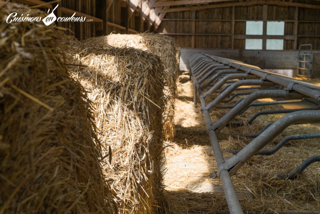 les-laitiers-responsables-9-1024x683 - Immersion dans une ferme Candia avec Les Laitiers Responsables