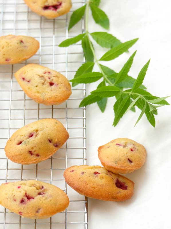 Cake au citron et aux graines de pavot