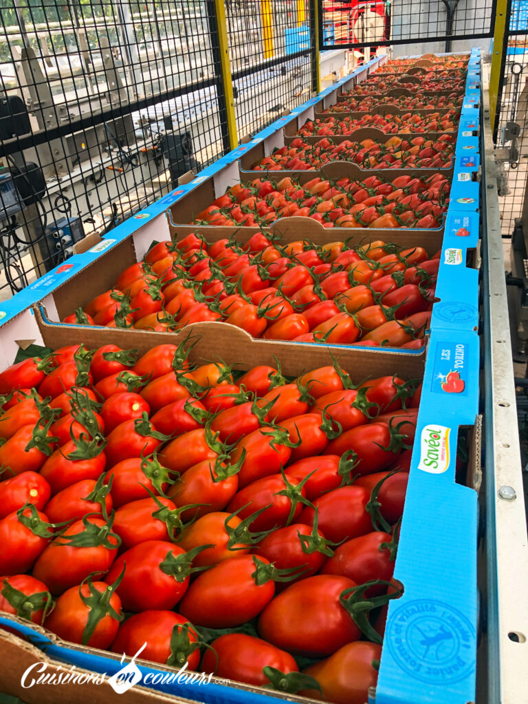 Serres Ouvertes, découvrez la culture sous serre d - Cuisinons En Couleurs