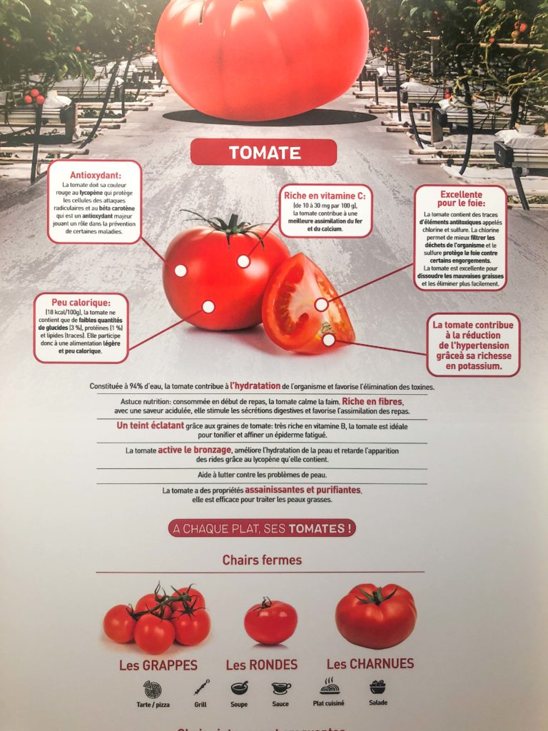 tomates-serre-768x1024 - CuTE, Cultivons le goût de l'Europe