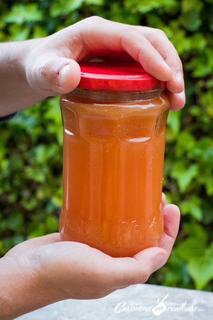 coulis-de-tomates-maison-683x1024 - Coulis de tomates avec les épluchures de tomates