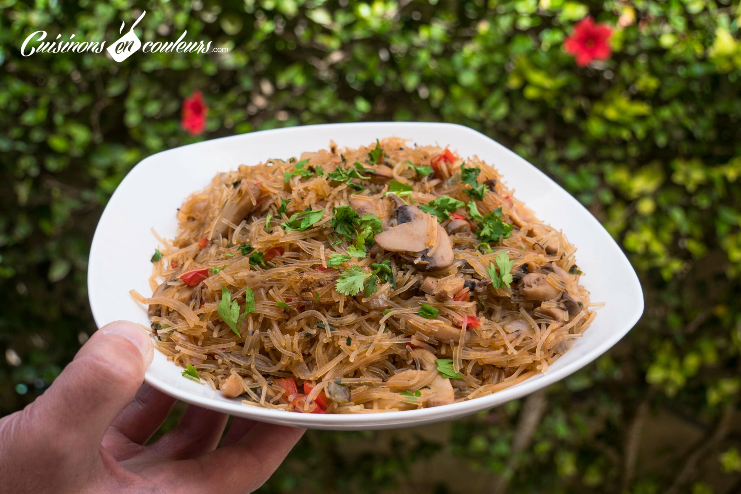 Vermicelles sautés aux oignons, champignons et poivrons