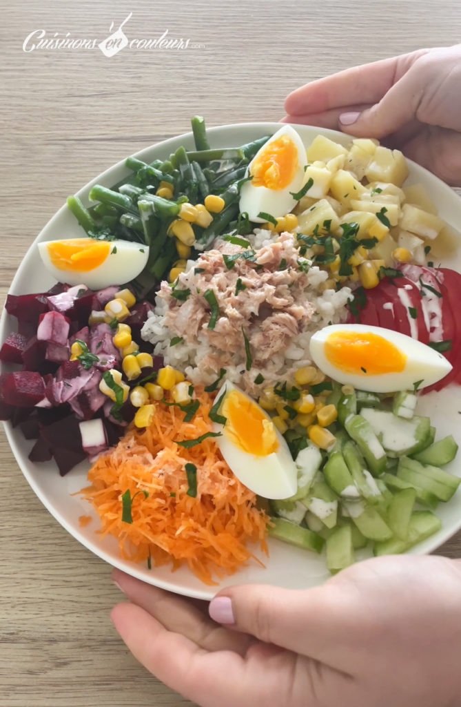 salade-nicoise-1-669x1024 - 12 recettes avec du concombre