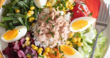 Salade-nicoise-1-351x185 - Cuisinons En Couleurs