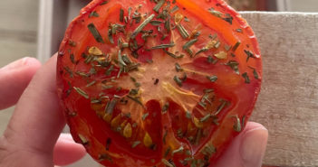 Tomates rôties aux herbes de Provence