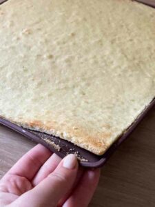 Biscuit Joconde INRATABLE