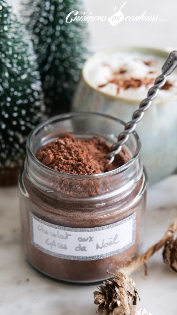 Chocolat en poudre aux épices de Noël