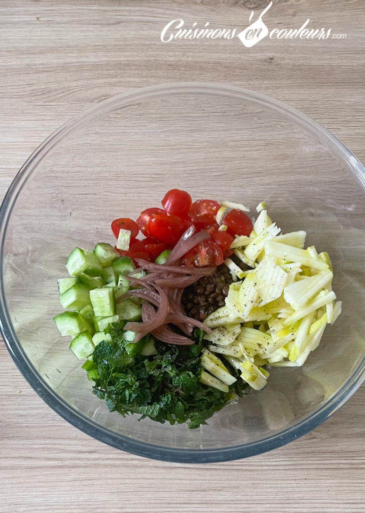 Salade-de-lentilles-vertes-4-728x1024 - Salade de lentilles vertes