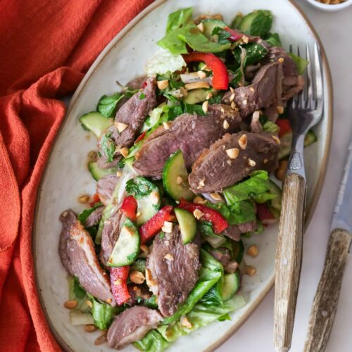 Salade thaï au magret de canard