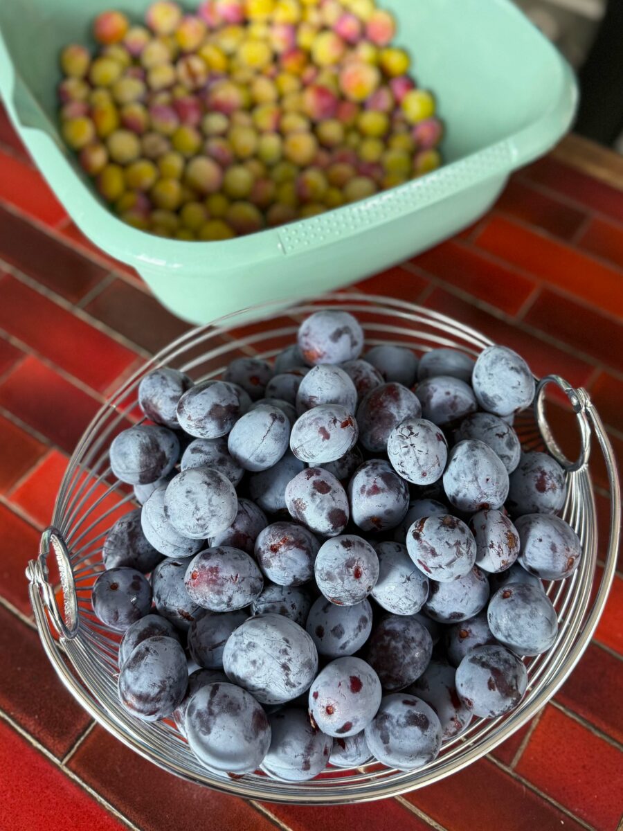 Confiture de quetsches